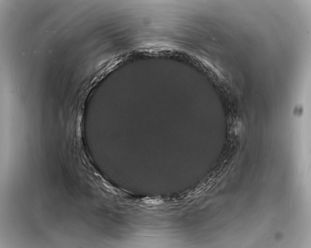 X0000098230965200804241337