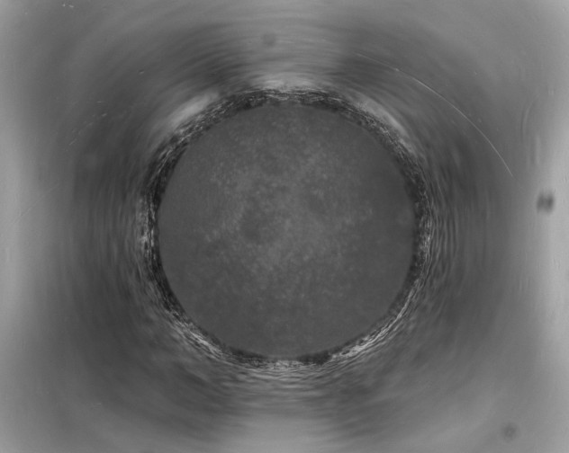 X0000098230966200804241337