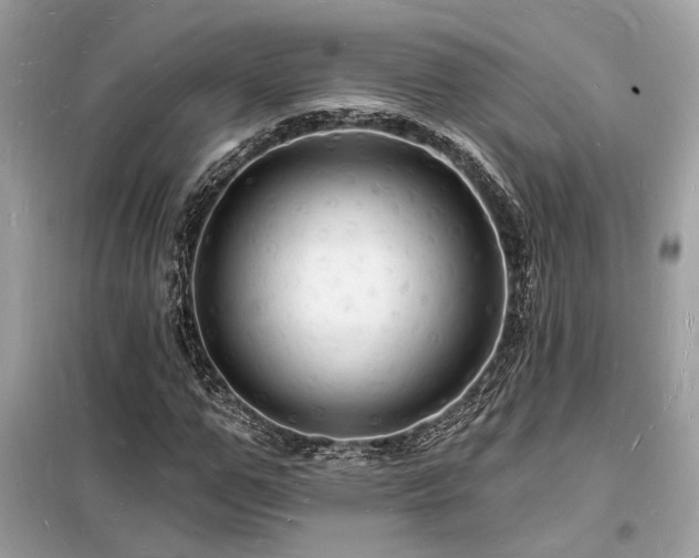 X0000098230967200804241337
