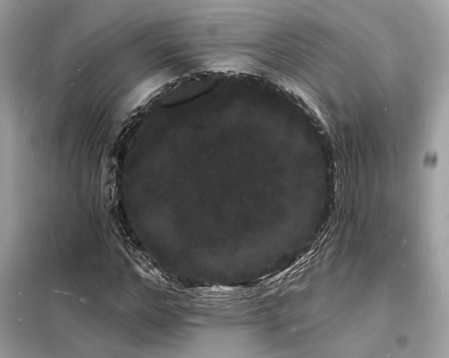 X0000098230968200804241337