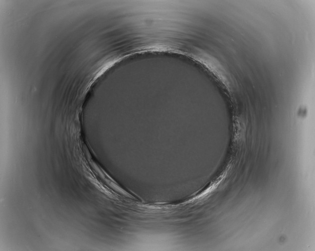 X0000098230969200804241337