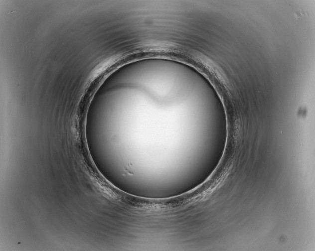 X0000098230970200804241337