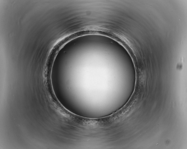 X0000098230971200804241337