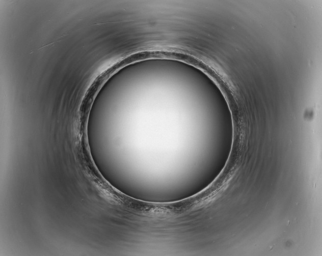 X0000098230974200804241337