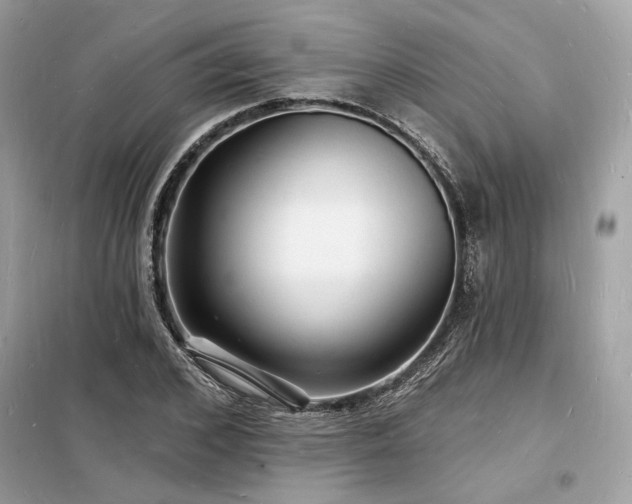 X0000098230976200804241337