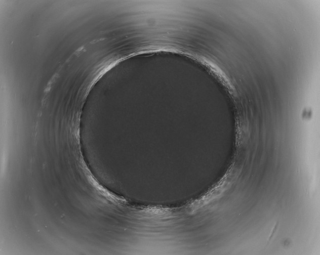 X0000098230977200804241337