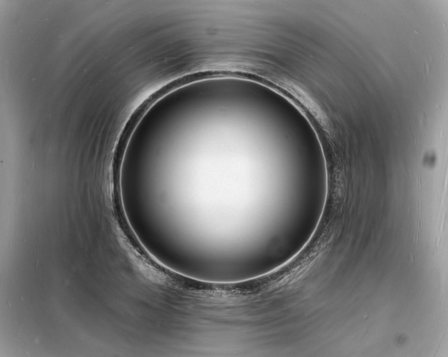 X0000098230980200804241337
