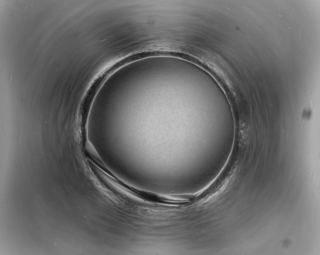X0000098230981200804241337