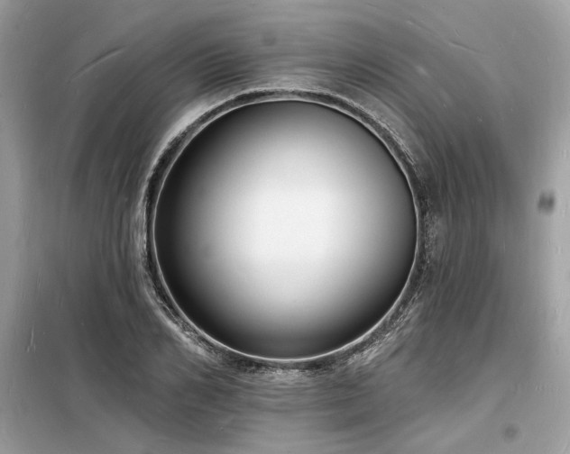 X0000098230982200804241337