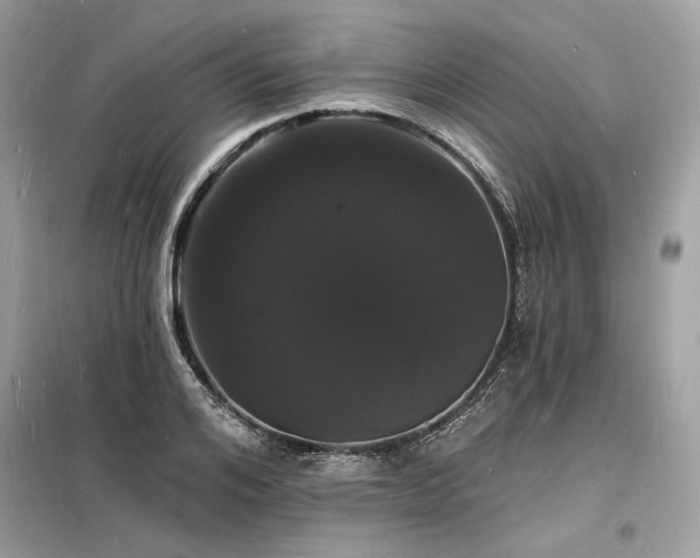 X0000098230984200804241336