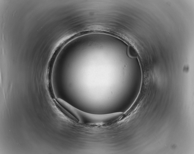 X0000098230987200804241336