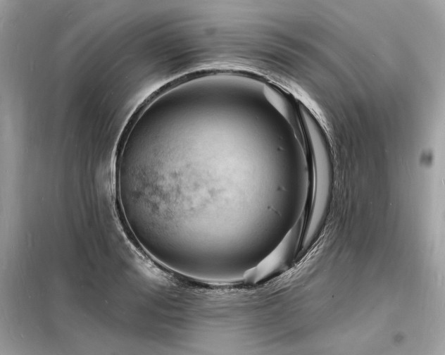X0000098230988200804241336