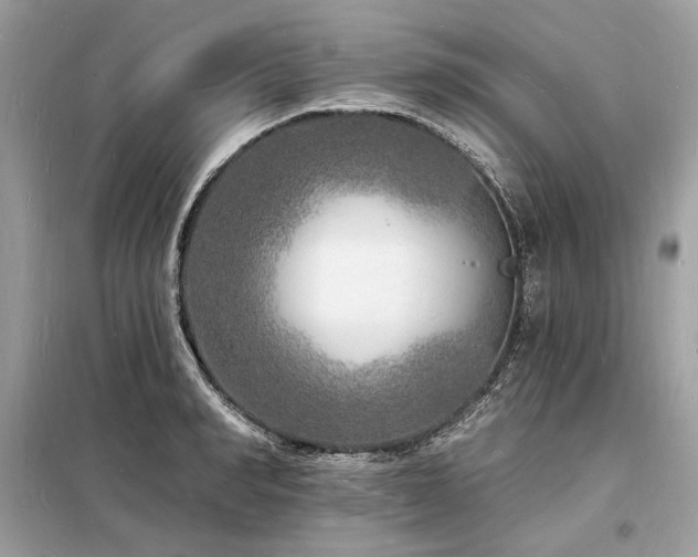 X0000098230990200804241336