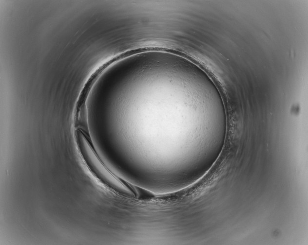 X0000098230991200804241336