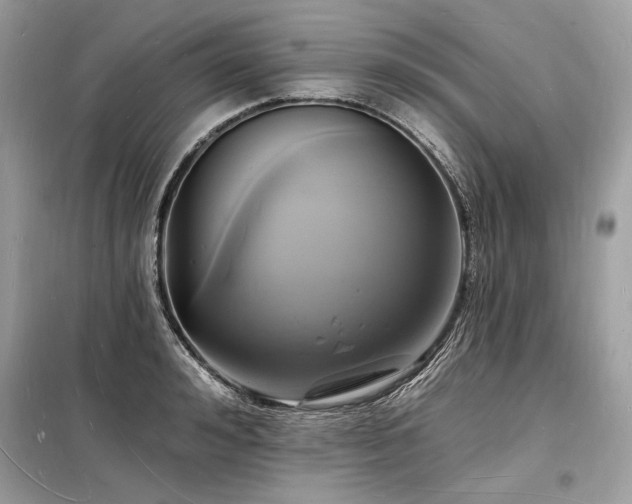 X0000098230992200804241336