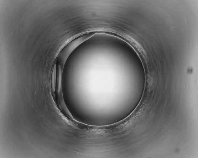 X0000098230993200804241336