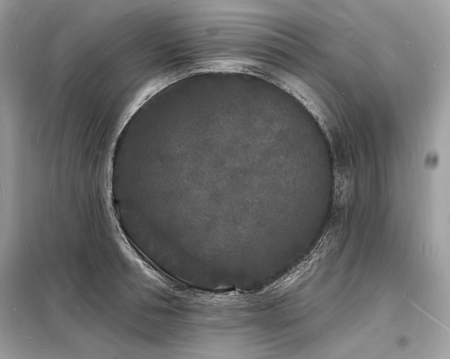 X0000098230994200804241336