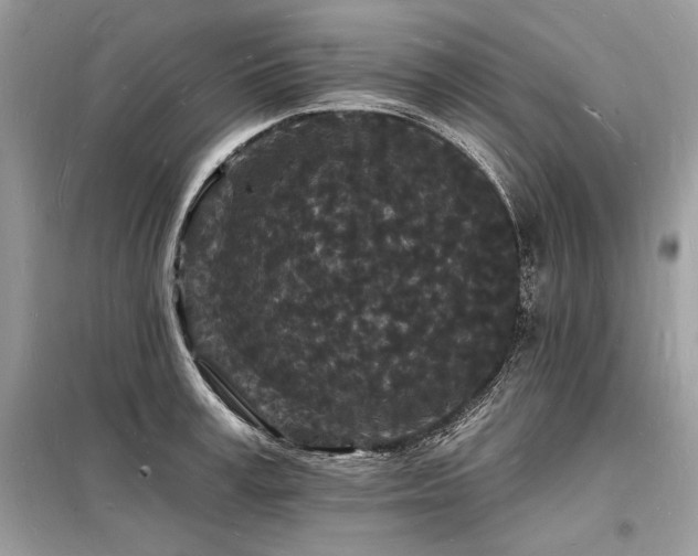 X0000098230995200804241336