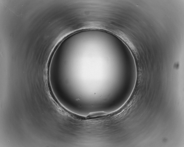 X0000098230996200804241336