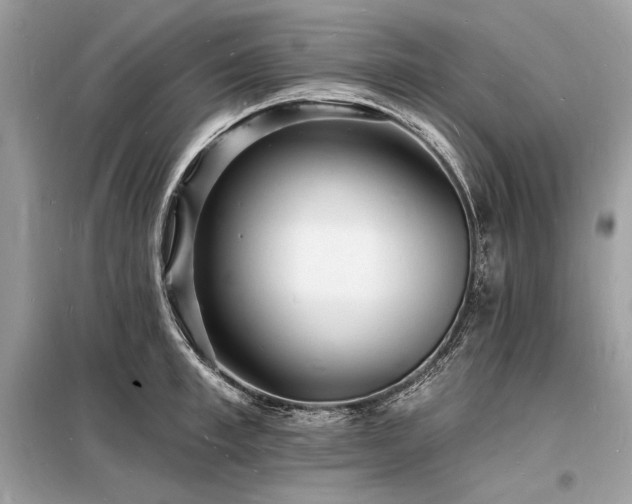 X0000098230997200804241336