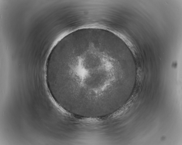 X0000098230998200804241336