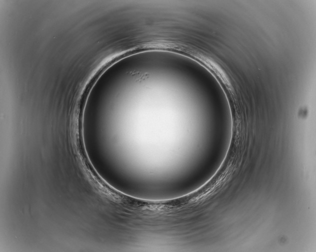 X0000098231000200804241336