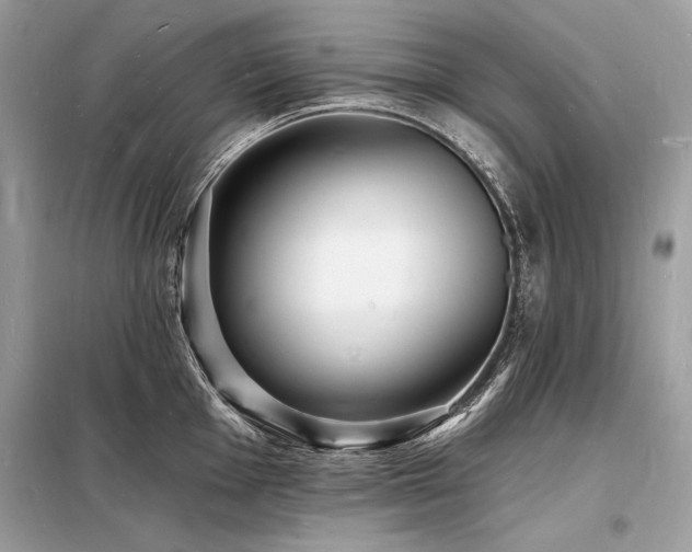 X0000098231001200804241336