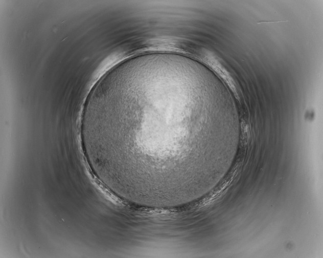 X0000098231002200804241336