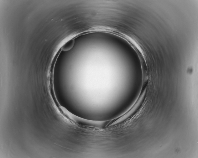 X0000098231003200804241336