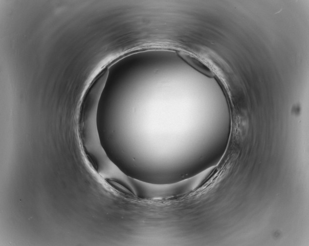 X0000098231005200804241336