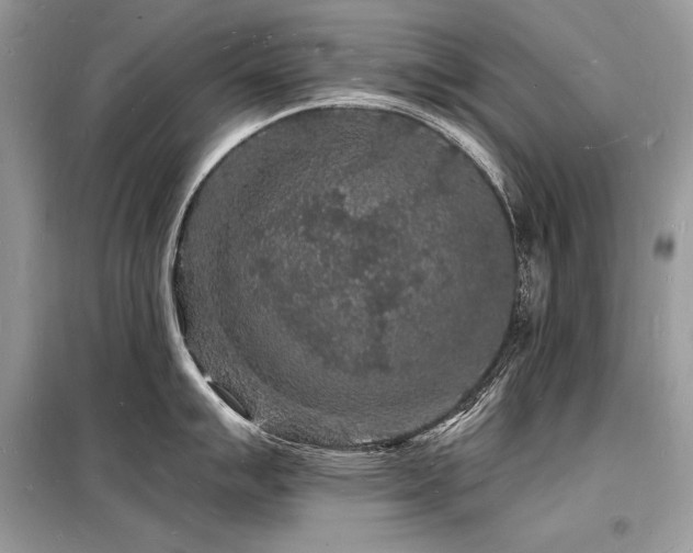 X0000098231007200804241336