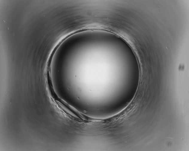 X0000098231008200804241336