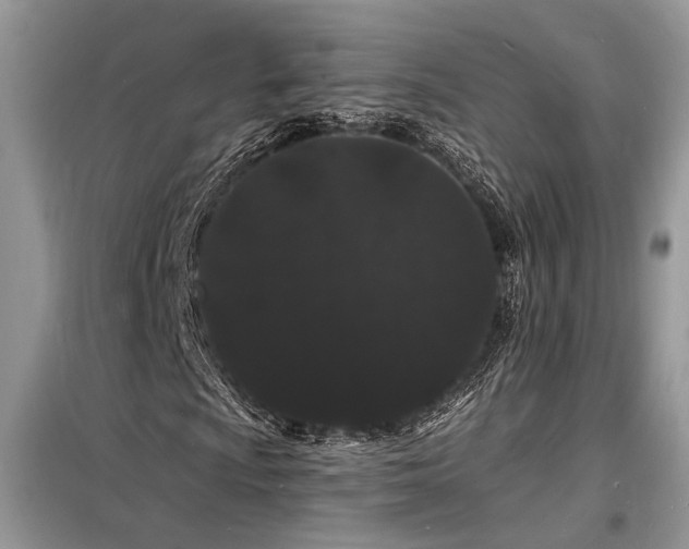 X0000098231009200804241335