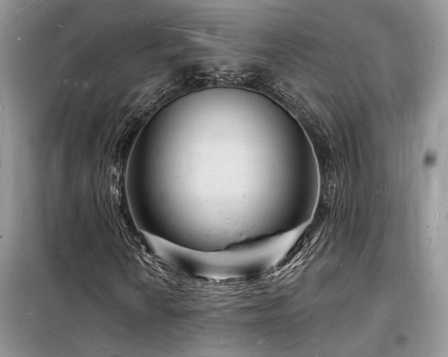 X0000098231010200804241335