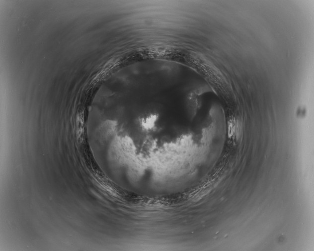 X0000098231011200804241335