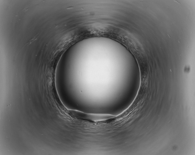 X0000098231012200804241335