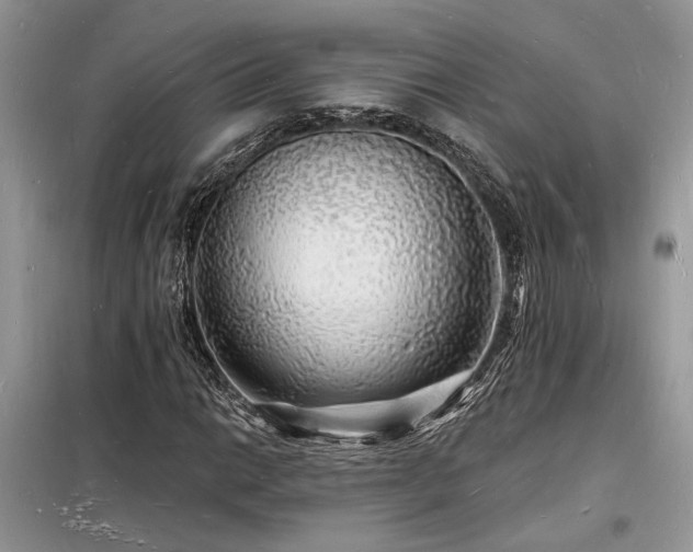 X0000098231014200804241335