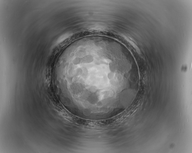 X0000098231015200804241336