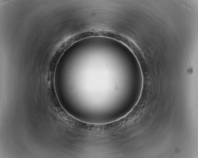 X0000098231016200804241336