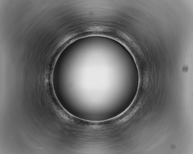 X0000098231017200804241336