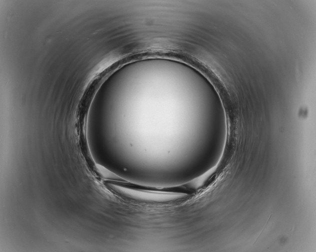 X0000098231018200804241336