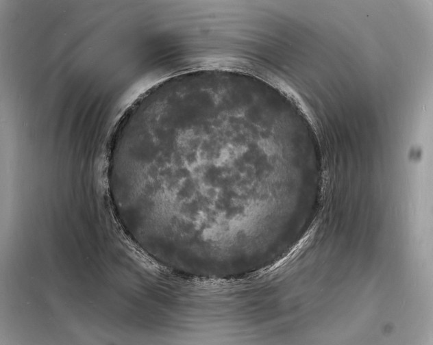 X0000098231019200804241336