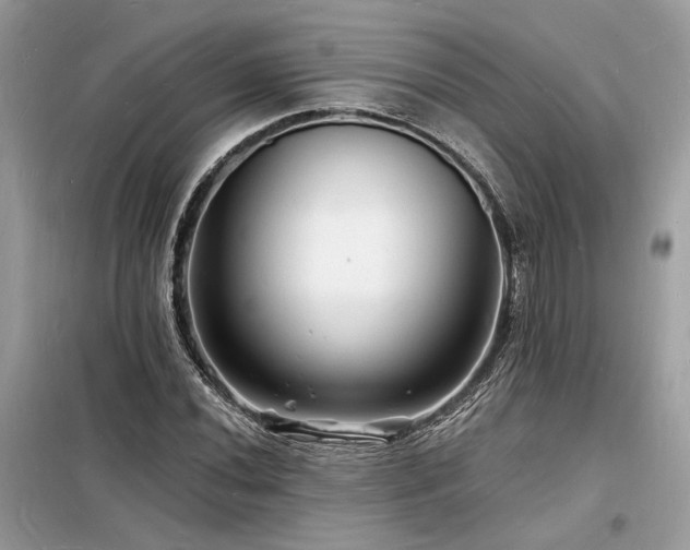 X0000098231020200804241336
