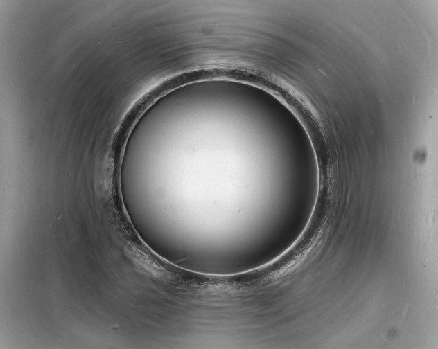 X0000098231021200804241336