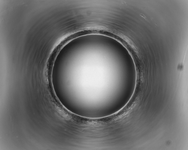 X0000098231022200804241336