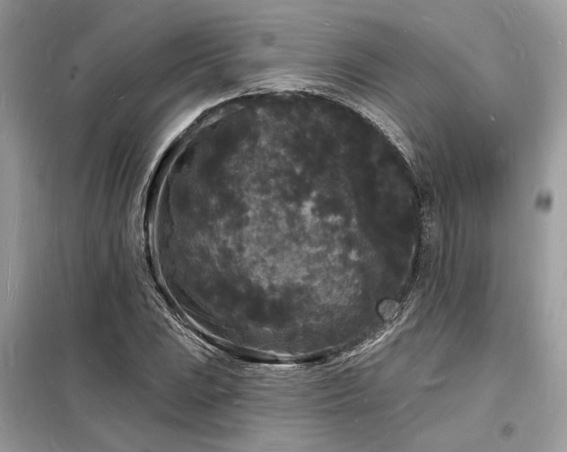 X0000098231023200804241336