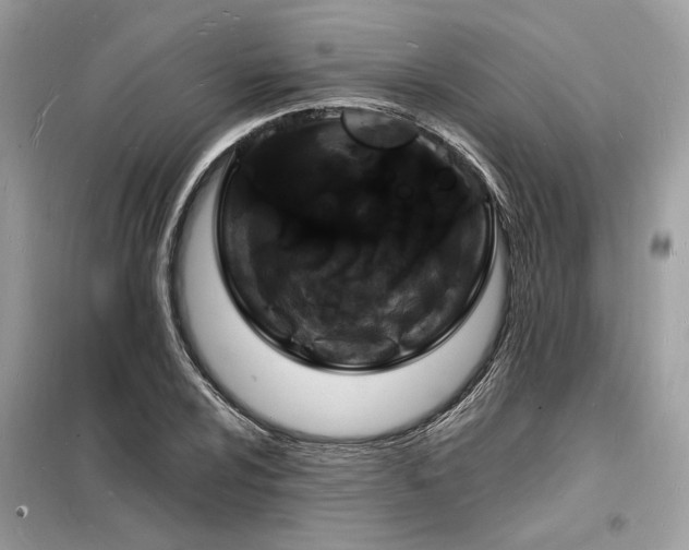 X0000098231024200804241336