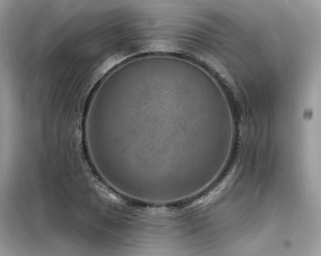 X0000098231025200804241336