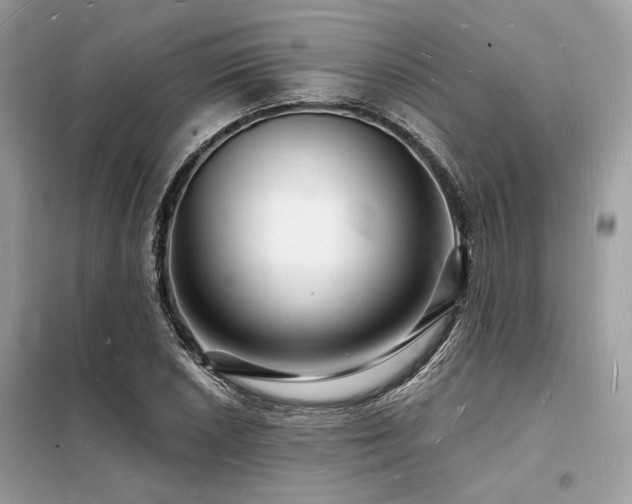 X0000098231026200804241336