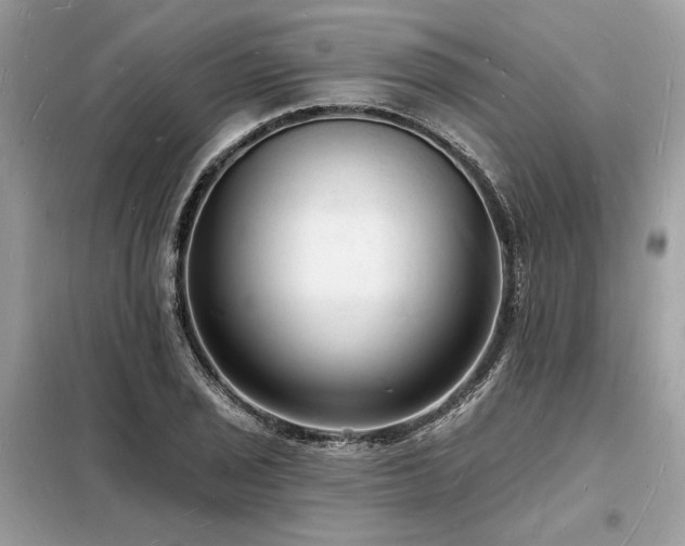 X0000098231029200804241336